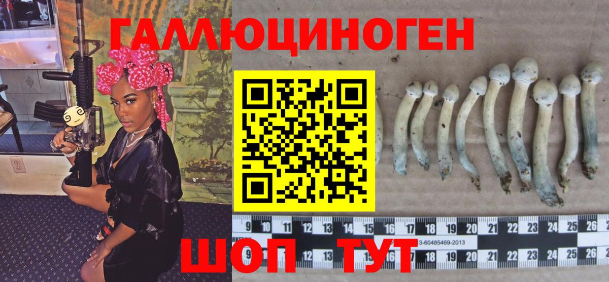 Саратов  Галлюциногенные грибы Psilocybine cubensis  Галлюциногенные грибы Cubensis  Вход с VPN 