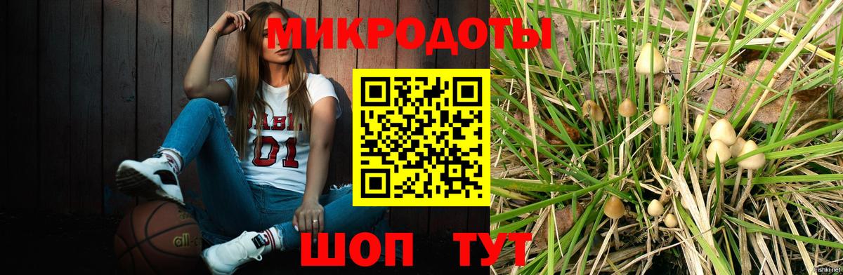 Галлюциногенные грибы прущие грибы Саратов